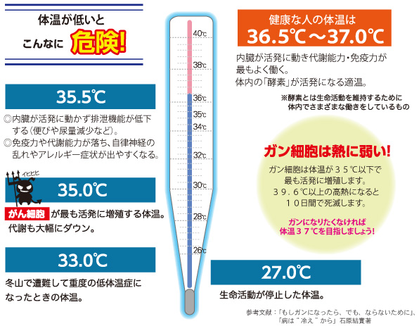 目の構造